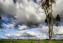 战术大调整！AC米兰主帅谋求逆转