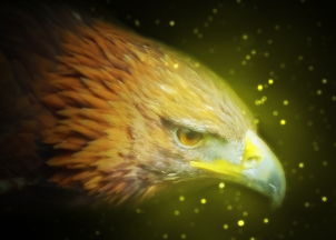 开云体育官方入口-老鹰宣布签下前尼克斯后卫波特斯加盟强化控卫深度